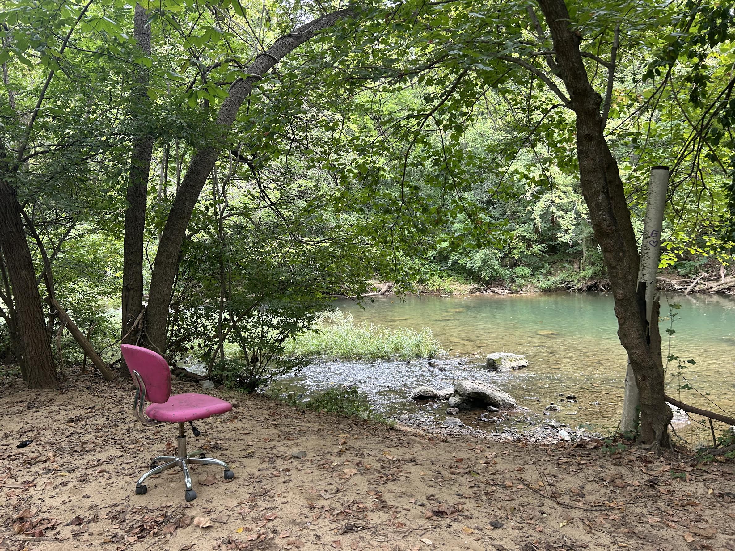 Please upload a JPG of your work in progress