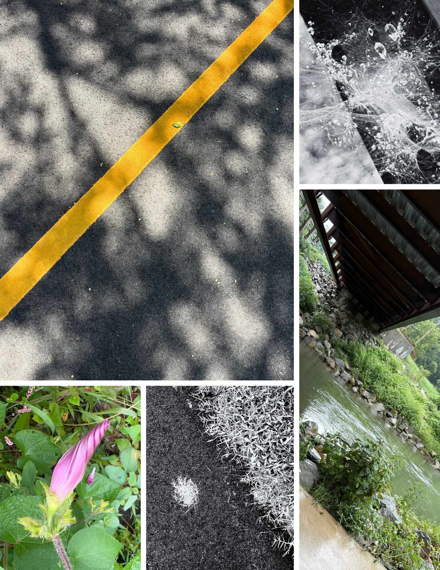 Please upload a JPG of your work in progress