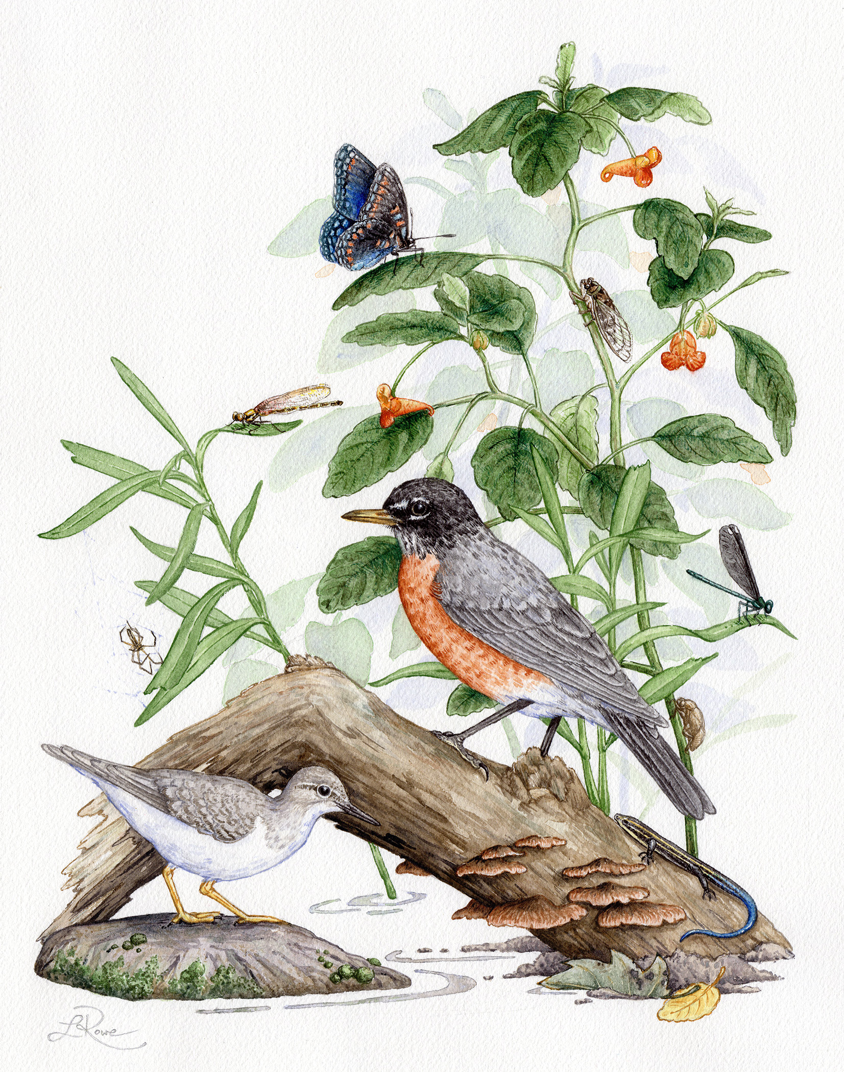 Please upload a JPG of your COMPLETED work.