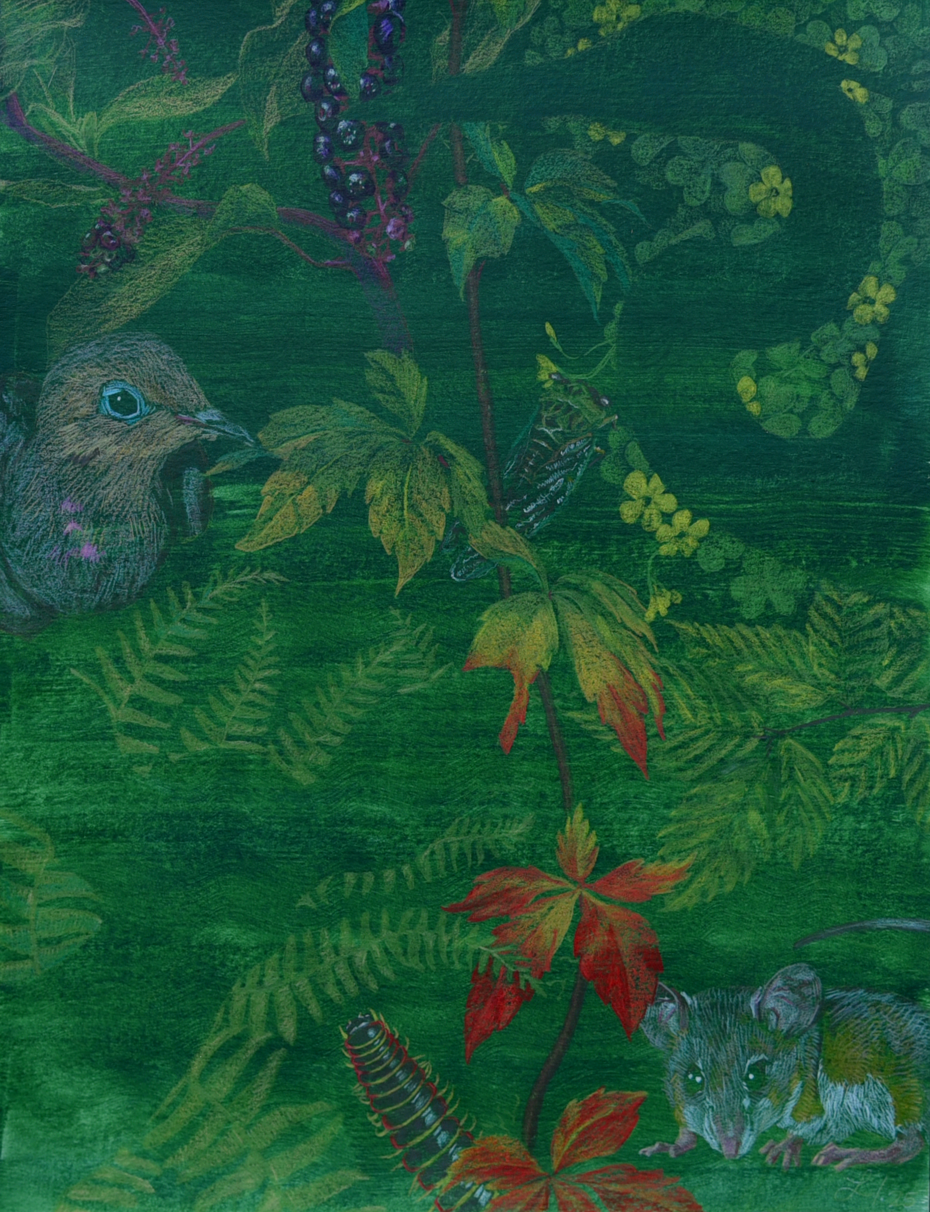 Please upload a JPG of your COMPLETED work.