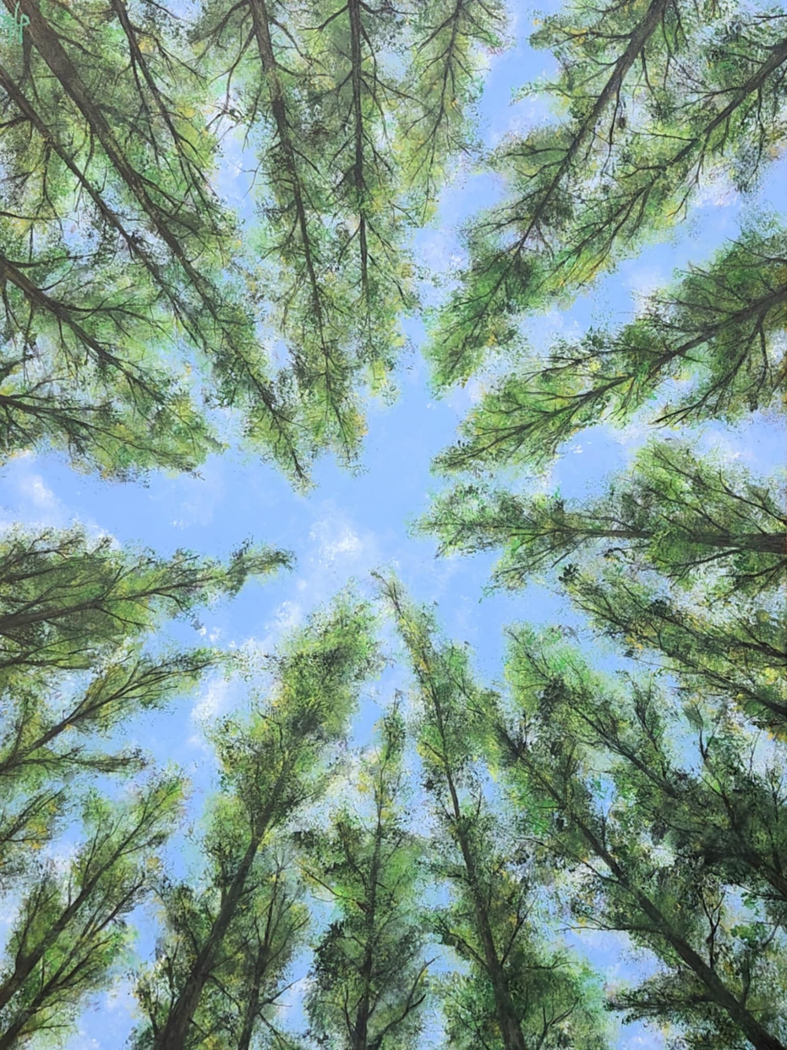 Please upload a JPG of your COMPLETED work.