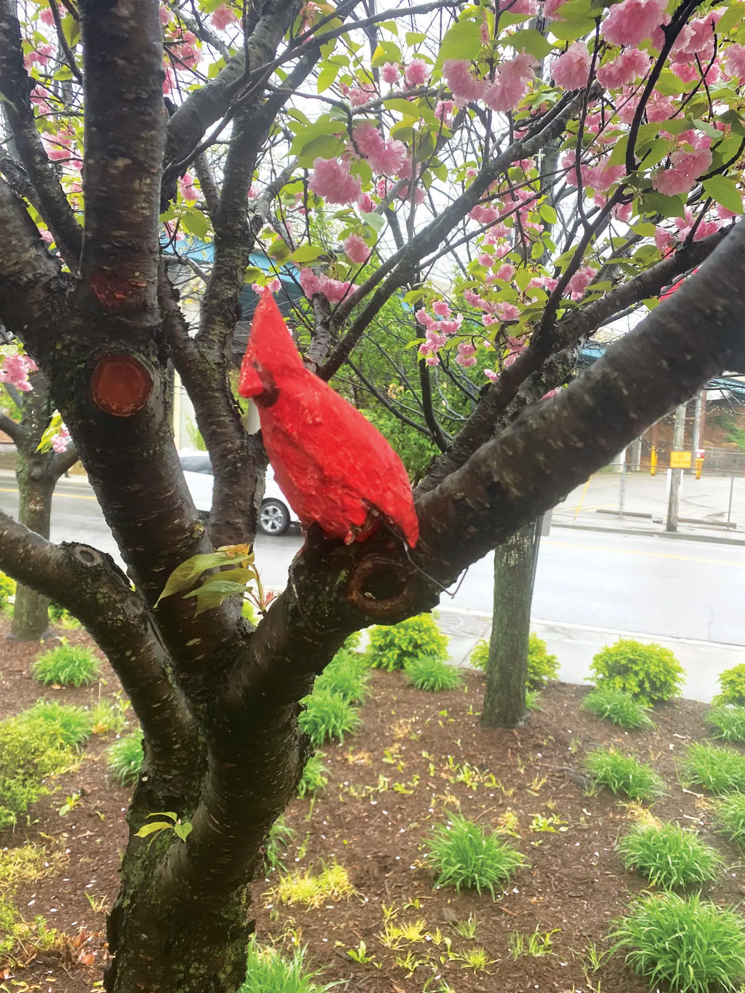 Blue Bird Notes: Papier-Mâché Bird Ornaments for Your Neighborhood